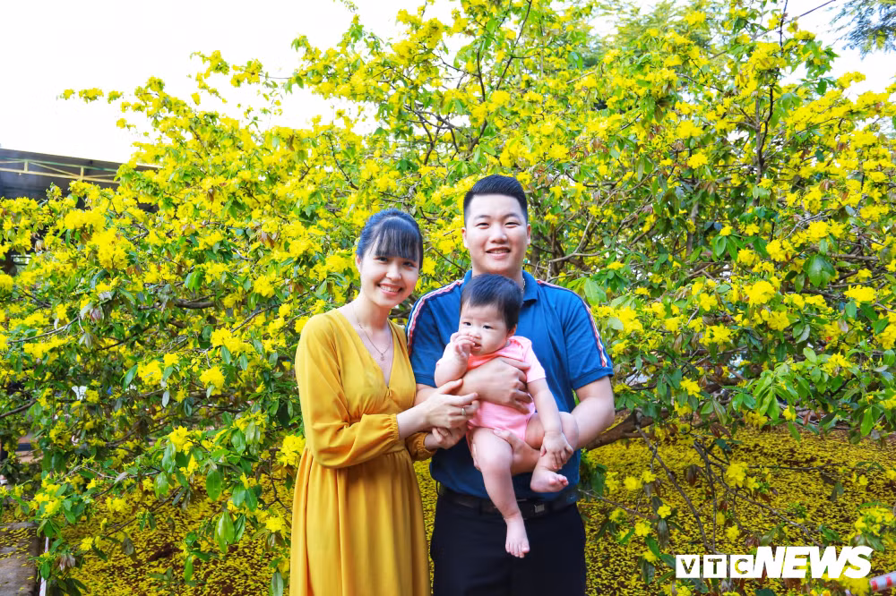 Một gia đình nhỏ chụp hình kỷ niêm bên cây mai.