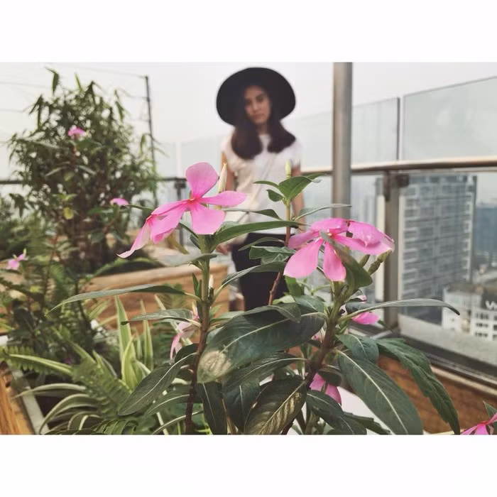 Nho ban than chup anh ho va cai ket “sang chan tam ly”-Hinh-5