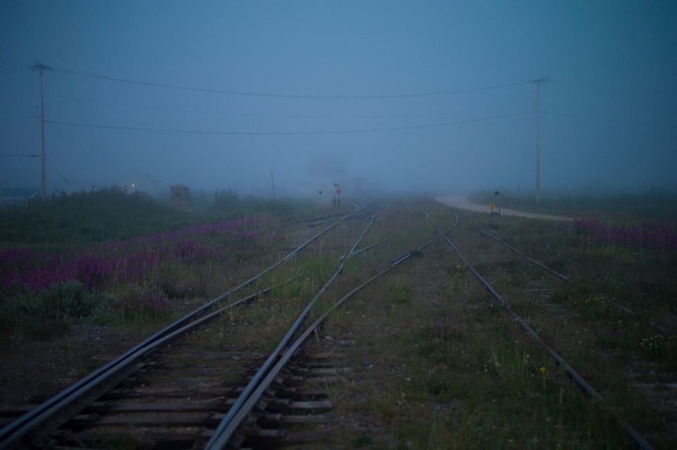 Việc sống chung với gấu đã khiến các cư dân Churchill hình thành thói quen thận trọng. Cửa nhà và xe luôn được mở để làm nơi trú ẩn cho bất cứ ai mỗi khi cần thiết. Các cư dân luôn cố gắng tránh những địa điểm tập trung nhiều gấu như bờ biển, bờ sông, các hàng liễu bên rìa thị trấn, các con hẻm, đặc biệt vào ban đêm và mùa gấu cao điểm. Ảnh: New York Times.