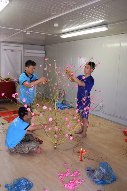 Cán bộ, bác sĩ BVDC2.1 tự gắn hoa giấy, hoa nhựa thay cho cành đào đón Tết.