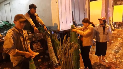 Toi 29 Tet thuong lai ban hoa re nhu cho, chiu lo de kip ve que-Hinh-3