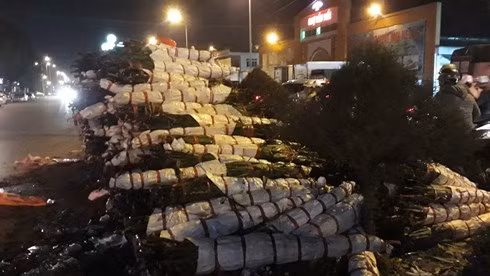 Toi 29 Tet thuong lai ban hoa re nhu cho, chiu lo de kip ve que-Hinh-7