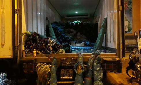 Toi 29 Tet thuong lai ban hoa re nhu cho, chiu lo de kip ve que-Hinh-2