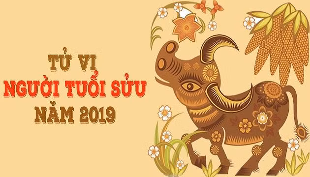 Tu vi tuoi Suu nam 2019: Gia dao bat on, phong tai nan, dau om