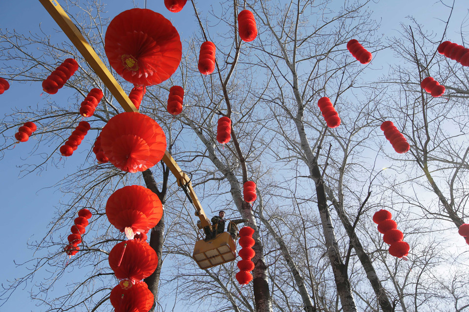 Một nhân viên đang treo đèn lồng đỏ lên cây ngày 28/1 để trang hoàng cho công viên Địa Đàn ở thủ đô Bắc Kinh trước Tết Nguyên đán. Ảnh: Reuters.