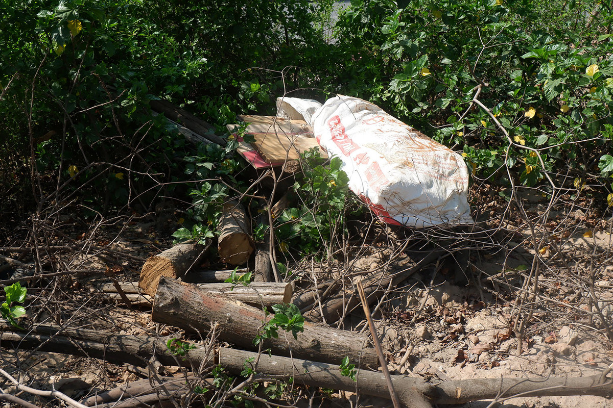 Do không có người dọn dẹp, những đống rác, phế thải cứ một nhiều và chất thành từng đống cùng các lùm cây dại.