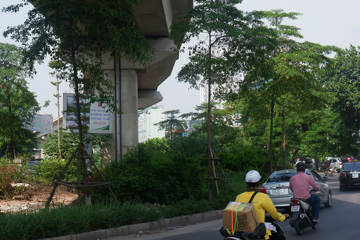 Rac thai, co dai moc um tum 