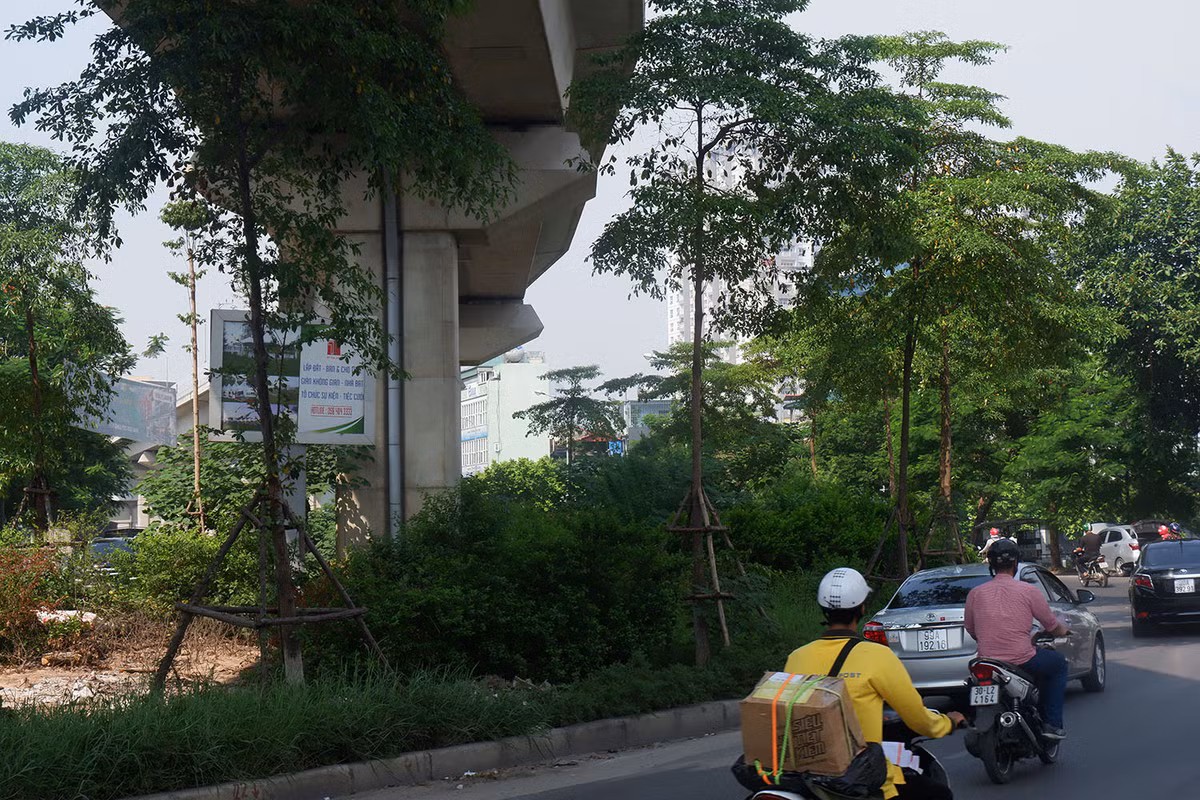 Rac thai, co dai moc um tum 