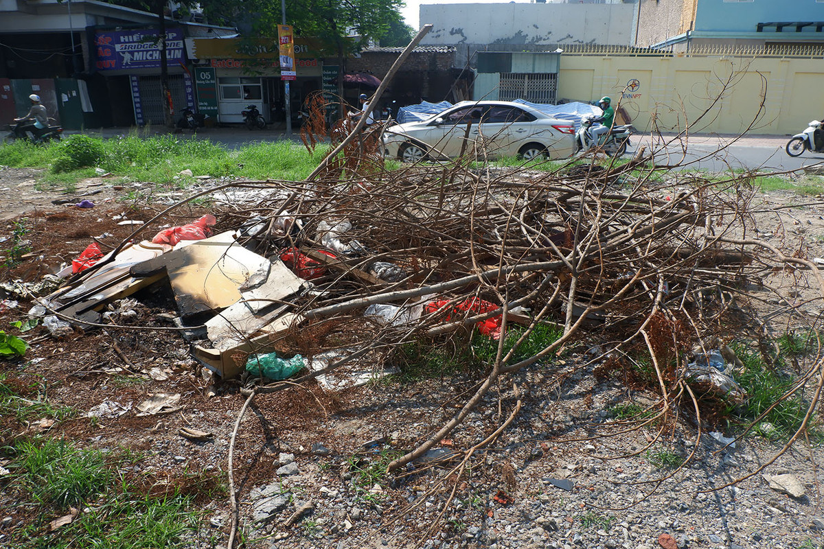 Cành cây cắt tỉa cùng rác bị bỏ lại trơ trọi dưới gầm đường sắt trên cao.