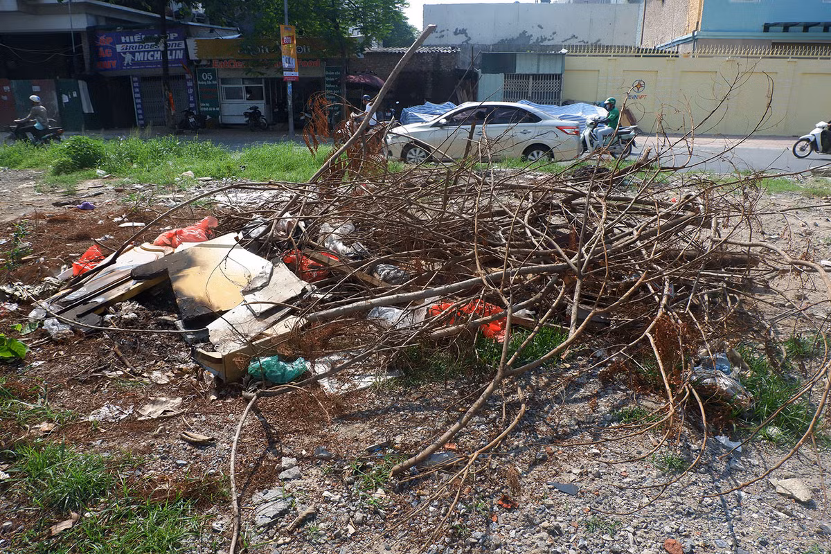 Cành cây cắt tỉa cùng rác bị bỏ lại trơ trọi dưới gầm đường sắt trên cao.
