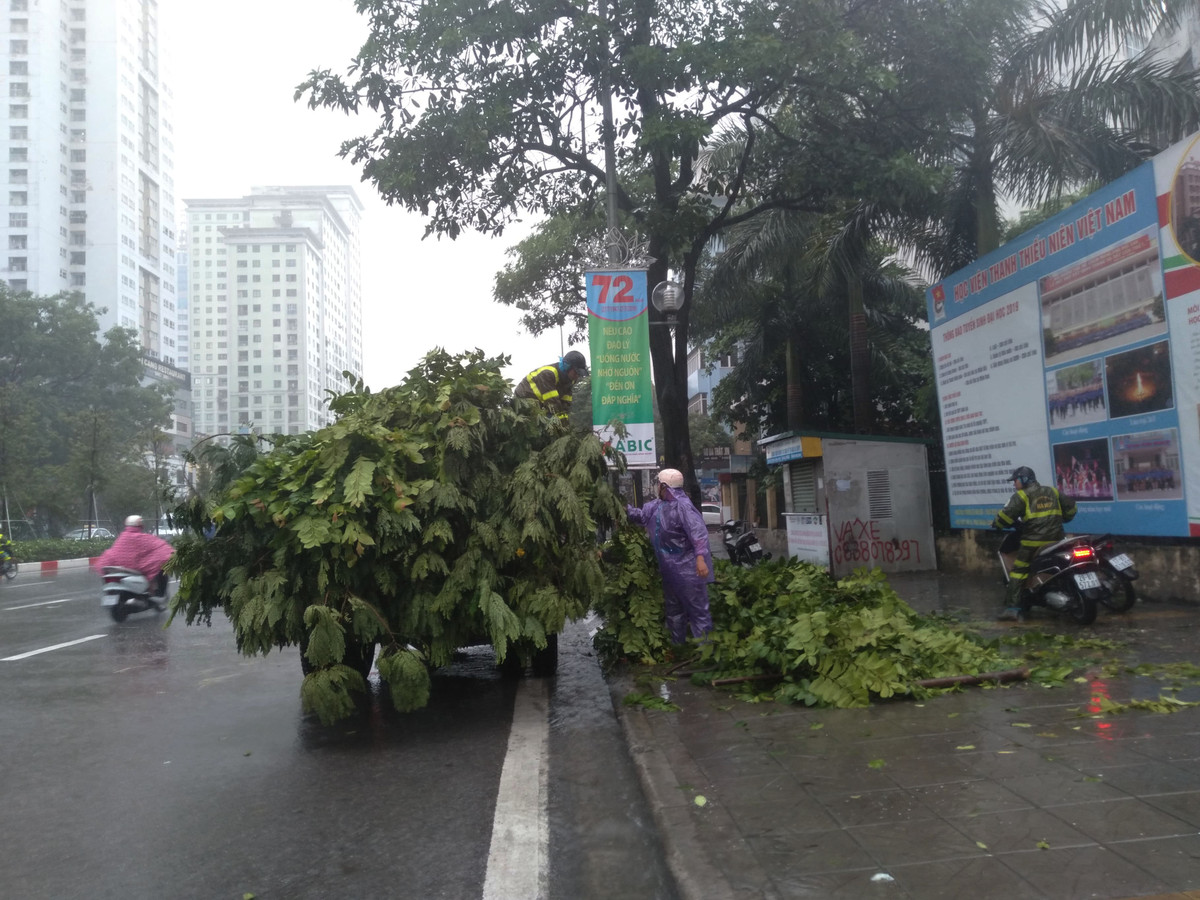 Lực lượng chức năng đang vận chuyển những cành cây đi nơi khác.