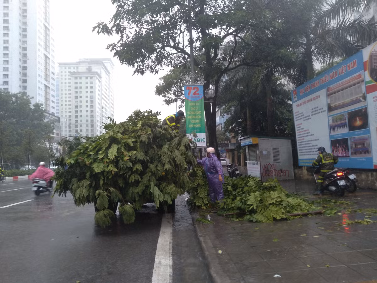 Lực lượng chức năng đang vận chuyển những cành cây đi nơi khác.