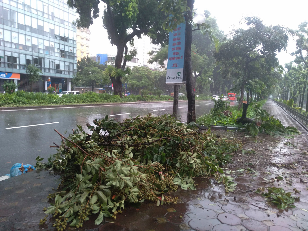 Những cành cây bị gãy xuống đường cũng đã được lực lượng chức năng cho gọn vào thành một đống.