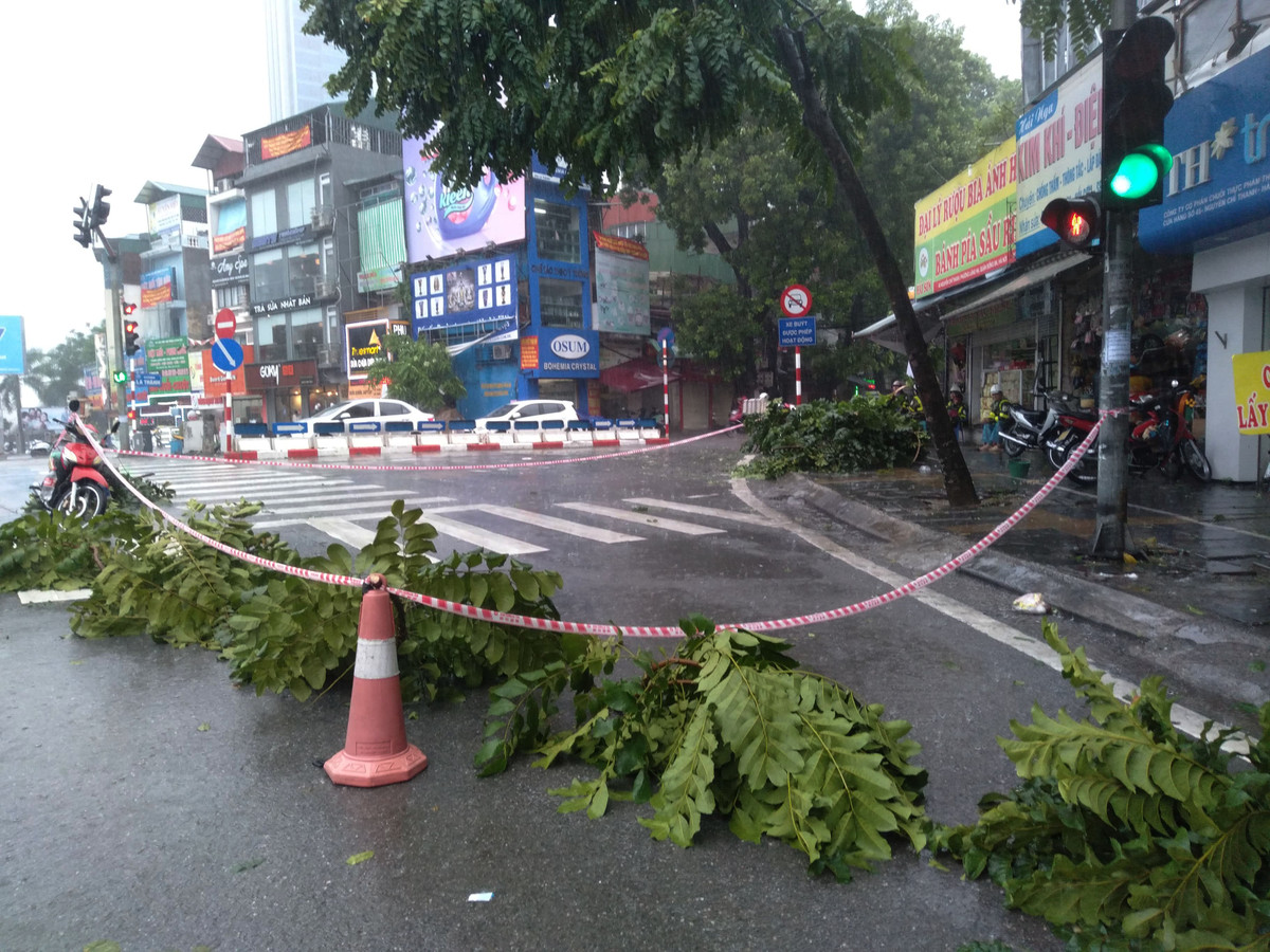 Tại tuyến đường Nguyễn Chí Thanh do có một cây xanh khác đang có hiện trượng sắp đổ nên lực lượng chức năng đã chặn bằng dây cũng như để những cành cây cảnh báo tới người đi đường.