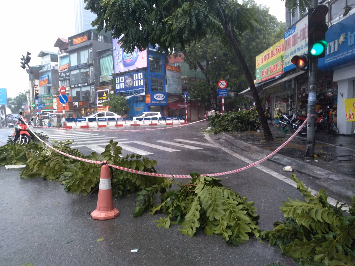 Tại tuyến đường Nguyễn Chí Thanh do có một cây xanh khác đang có hiện trượng sắp đổ nên lực lượng chức năng đã chặn bằng dây cũng như để những cành cây cảnh báo tới người đi đường.