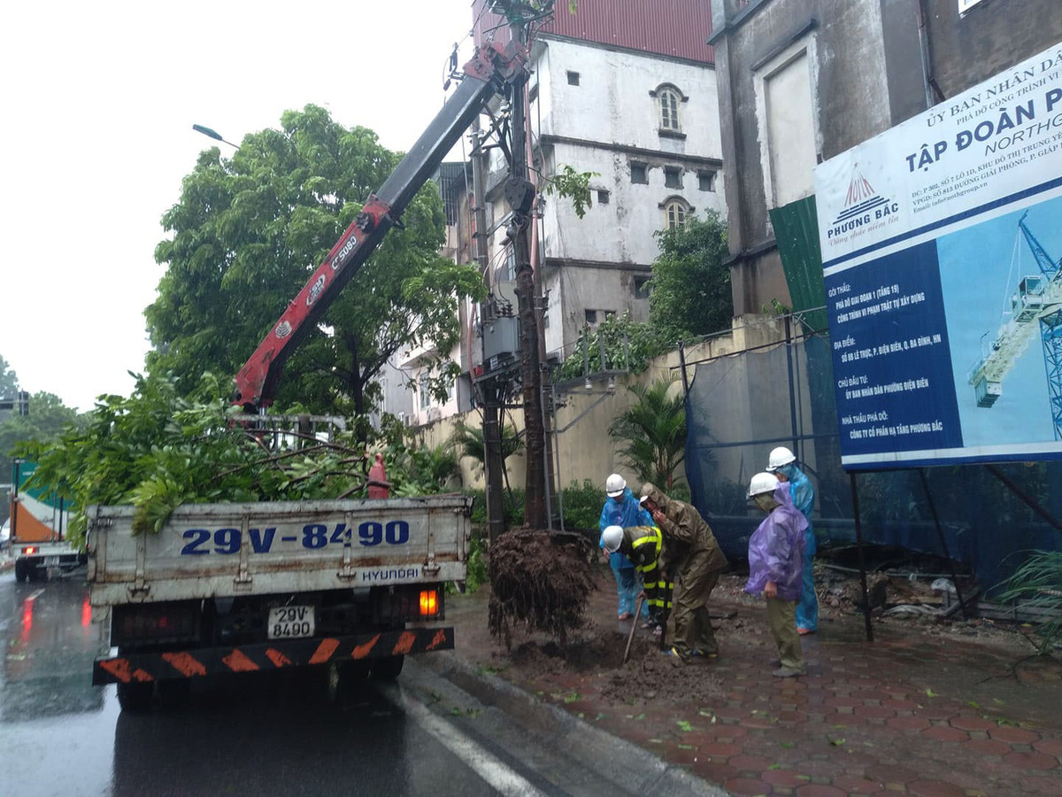 Lực lượng chức năng đã có mặt để di chuyển cây, đảm bảo an toàn giao thông.