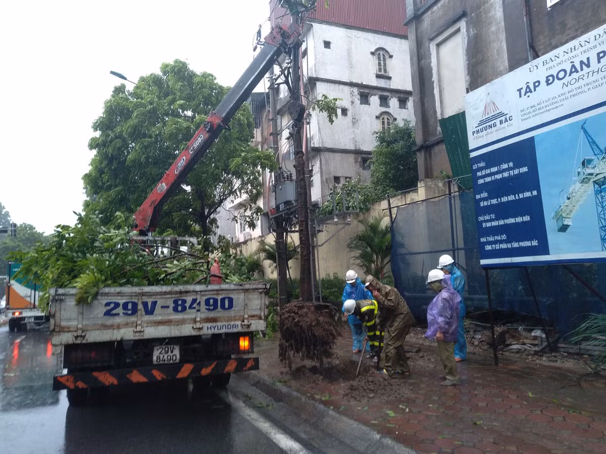 Lực lượng chức năng đã có mặt để di chuyển cây, đảm bảo an toàn giao thông.
