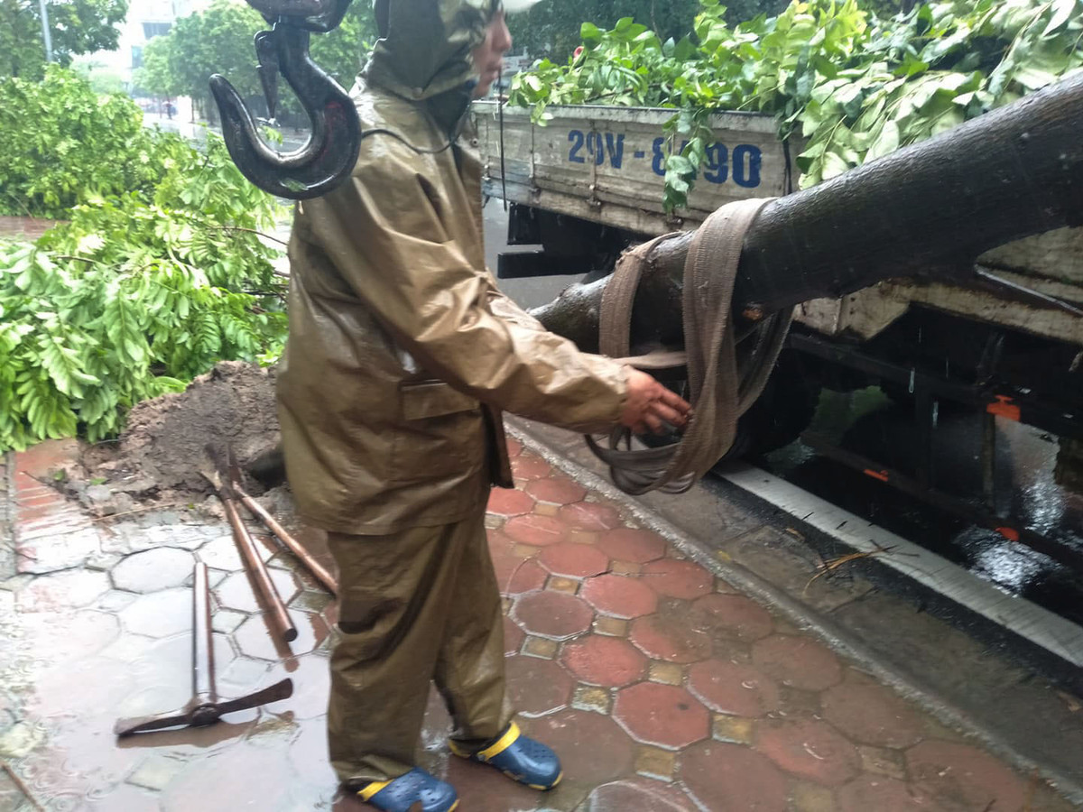 Lực lượng chức năng thu dọn cây gẫy đổ trên đường.