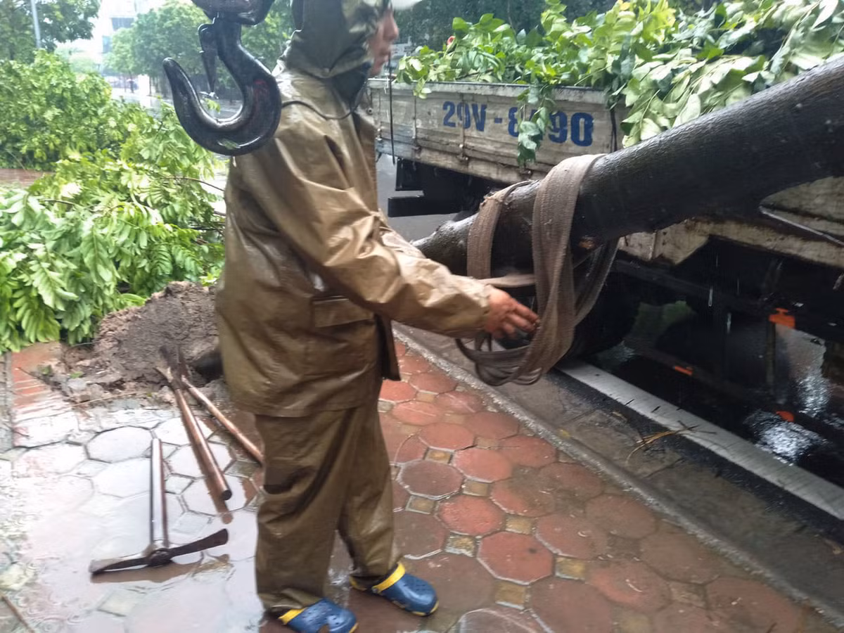 Lực lượng chức năng thu dọn cây gẫy đổ trên đường.