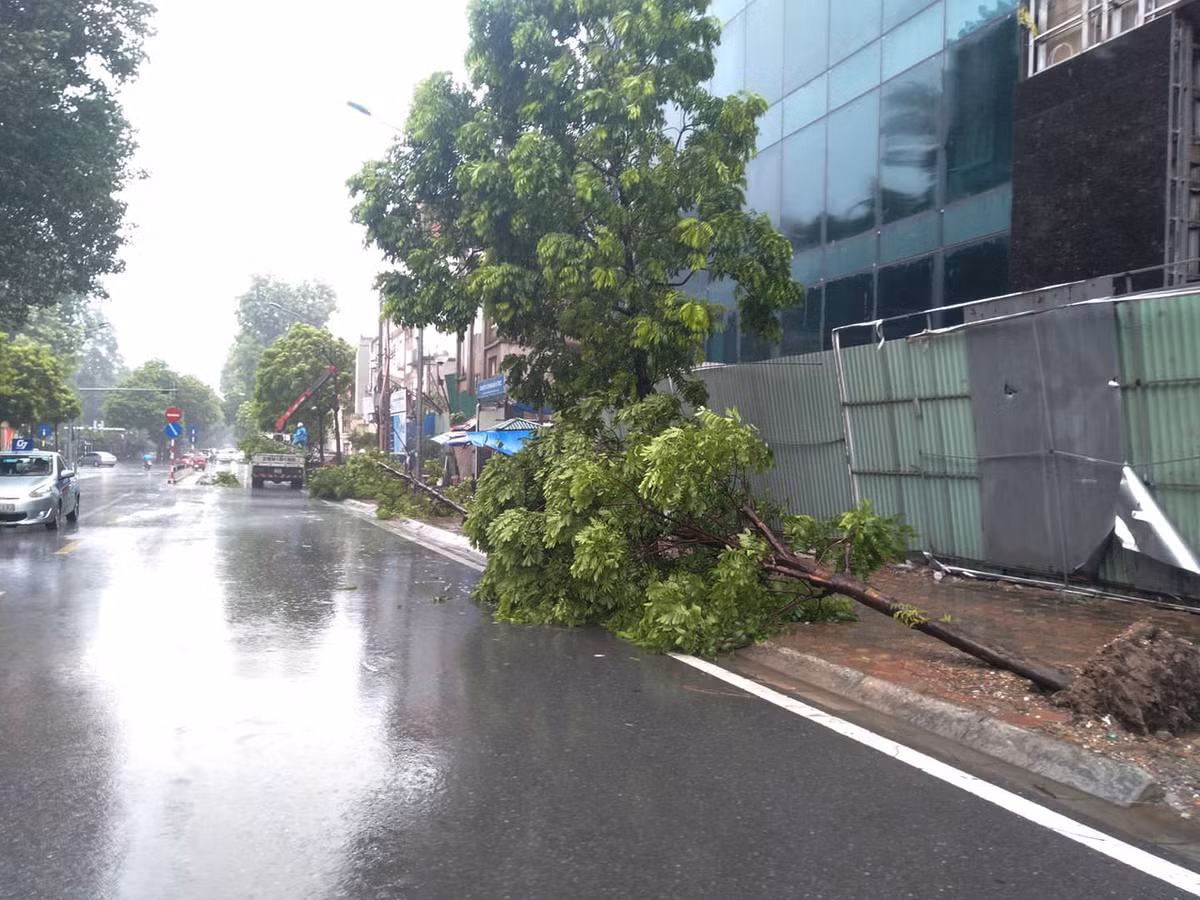 Hang loat cay xanh tren pho Ha Noi bat goc sau bao so 3-Hinh-2