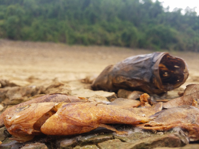 Hồ Hòa Mỹ ở xã Phong Mỹ, huyện Phong Điền (Thừa Thiên – Huế) lần đầu tiên cạn trơ đáy. 