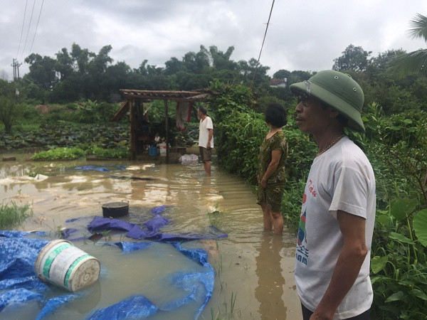Ngoài ra cũng tại tổ dân phố 18, nhiều diện tích hoa màu và ao nuôi trồng thủy sản của nhân dân đã bị ngập, gây thiệt hại về tài sản.