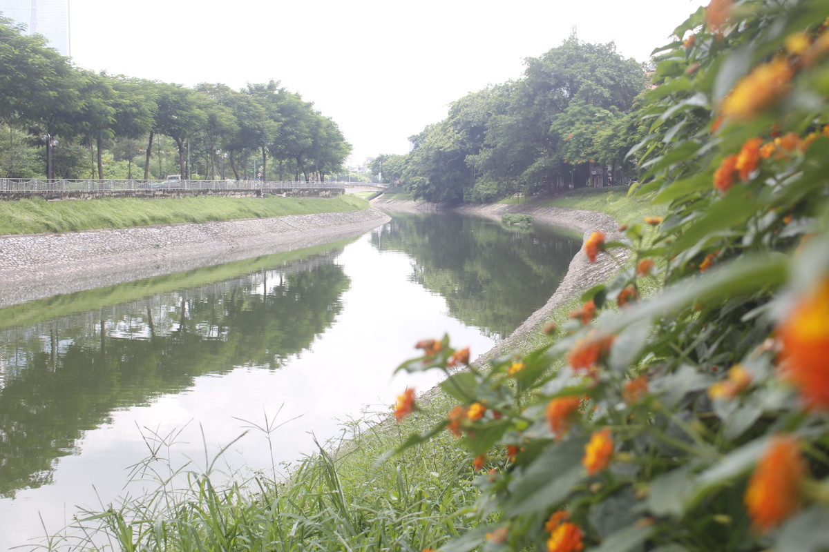 Người dân mong rằng hình ảnh dòng sông trong xanh thế này không chỉ xảy ra sau mỗi đợt mưa lớn.