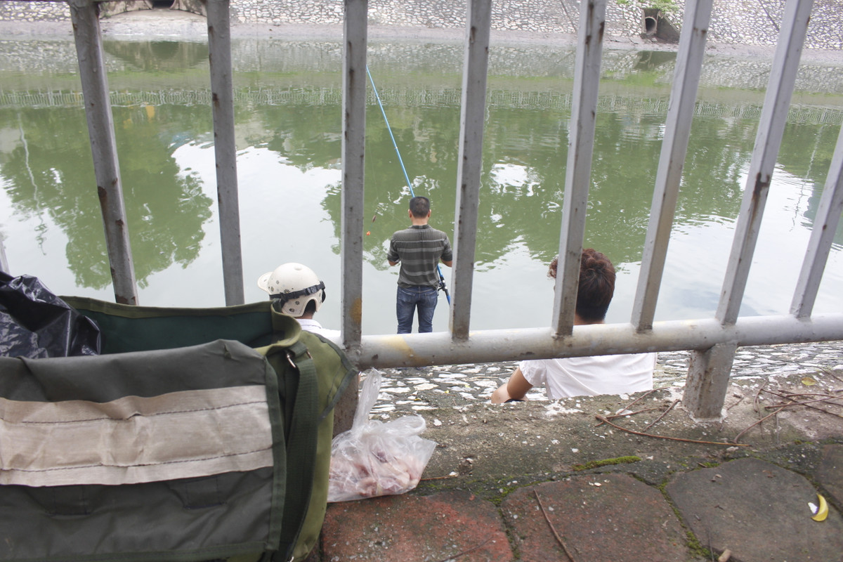 Bởi lẽ, đầu nguồn sông Tô Lịch đã bị lấp, con sông không có nguồn nước sạch để tuần hoàn, lưu thông thường xuyên, cộng thêm việc cống nước thải người dân đổ trực tiếp ra sông đã biến Tô Lịch thành dòng sông chết.