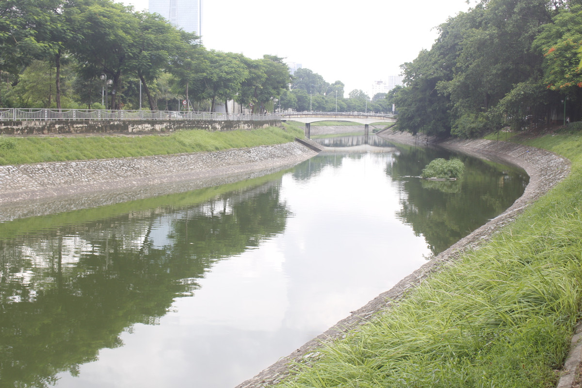 Con sông từ ô nhiễm nghiêm trọng bỗng trở nên thơ mộng hơn bao giờ hết.