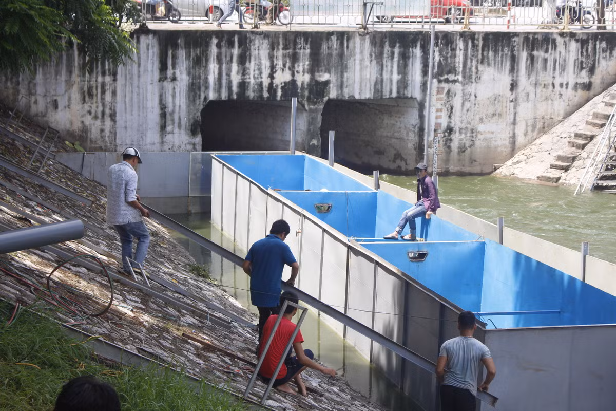 Hiếm có khi nào các công nhân được làm việc bên dòng sông xanh ngát như thế này. Bởi lẽ thường ngày, nước sông luôn đen ngòm, bốc mùi hôi thối, khó chịu.