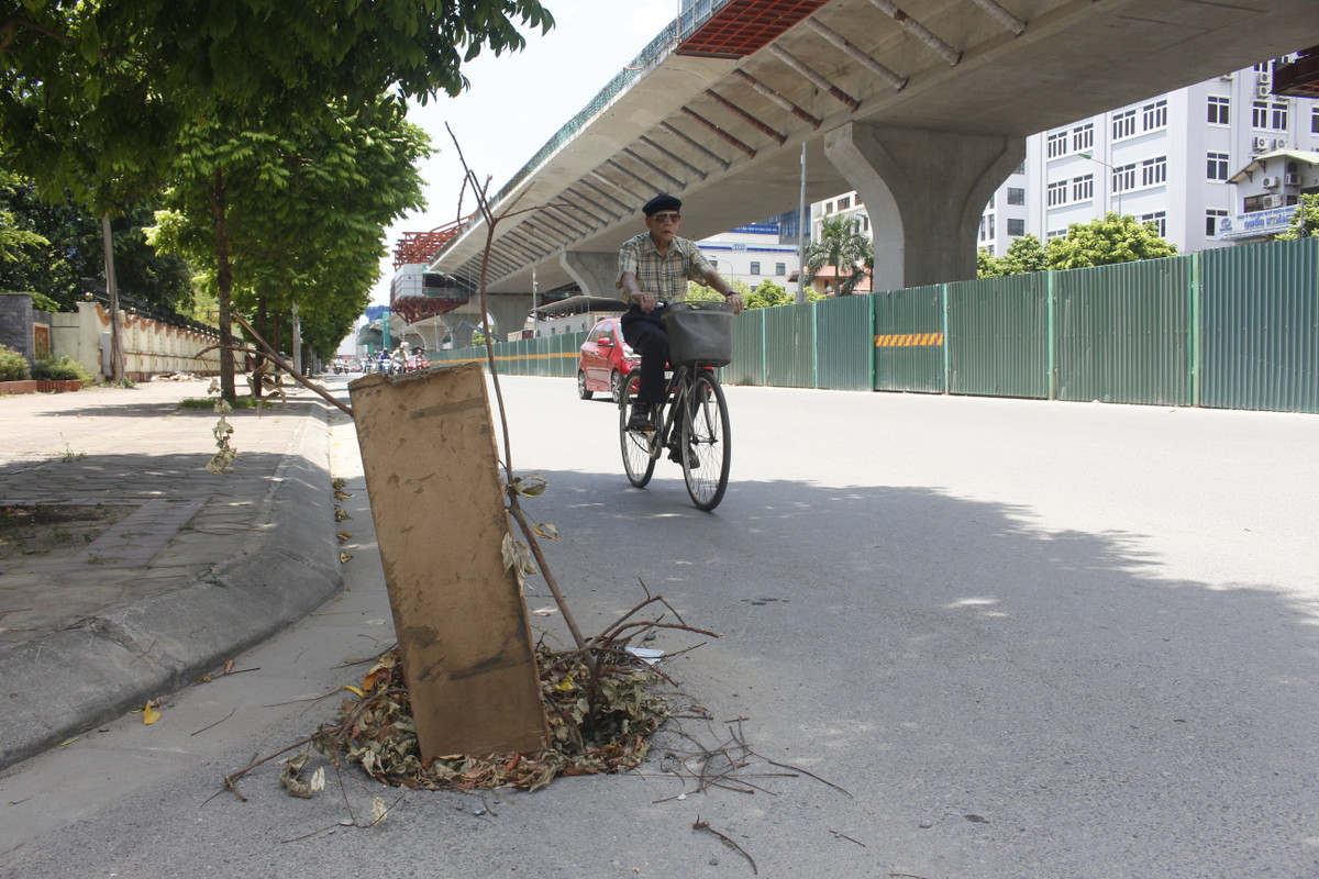 lá cây chui xuống hố ga khiến chúng bị tắc mỗi khi trời mưa.