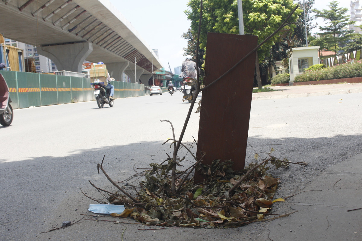 Người dân phải cắm ván gỗ và cành cây để cảnh báo người đi đường.