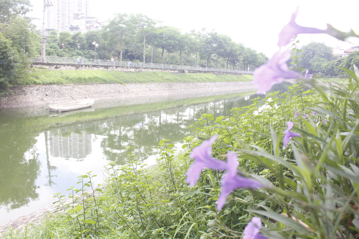 Vẻ đẹp thơ mộng hiếm thấy của dòng sông