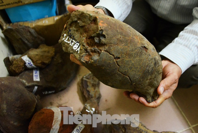 “Bom nui lua” tim thay tren Tay Nguyen thuc chat la gi?-Hinh-2