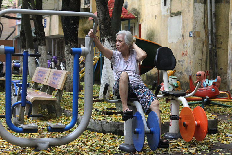 Một số người dân nơi đây cũng cho biết thêm, vào buổi sáng cùng ngày, một chuyên gia Viện Bảo vệ Thực vật đã về lấy mẫu kết đất cũng như kiểm định cây sưa cho biết, hiện tại đang trong quá trình xét nghiệm, để phòng tránh cho cây giảm rụng lá thì phun nước thật nhiều vào thân gốc cây.