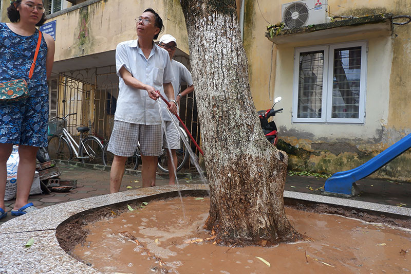 Người dân ở nơi đây cho hay, họ nghi nghờ hàng cây sưa đã bị kẻ xấu hãm hại. Chúng tôi sẽ tiếp tục cập nhật thông tin...