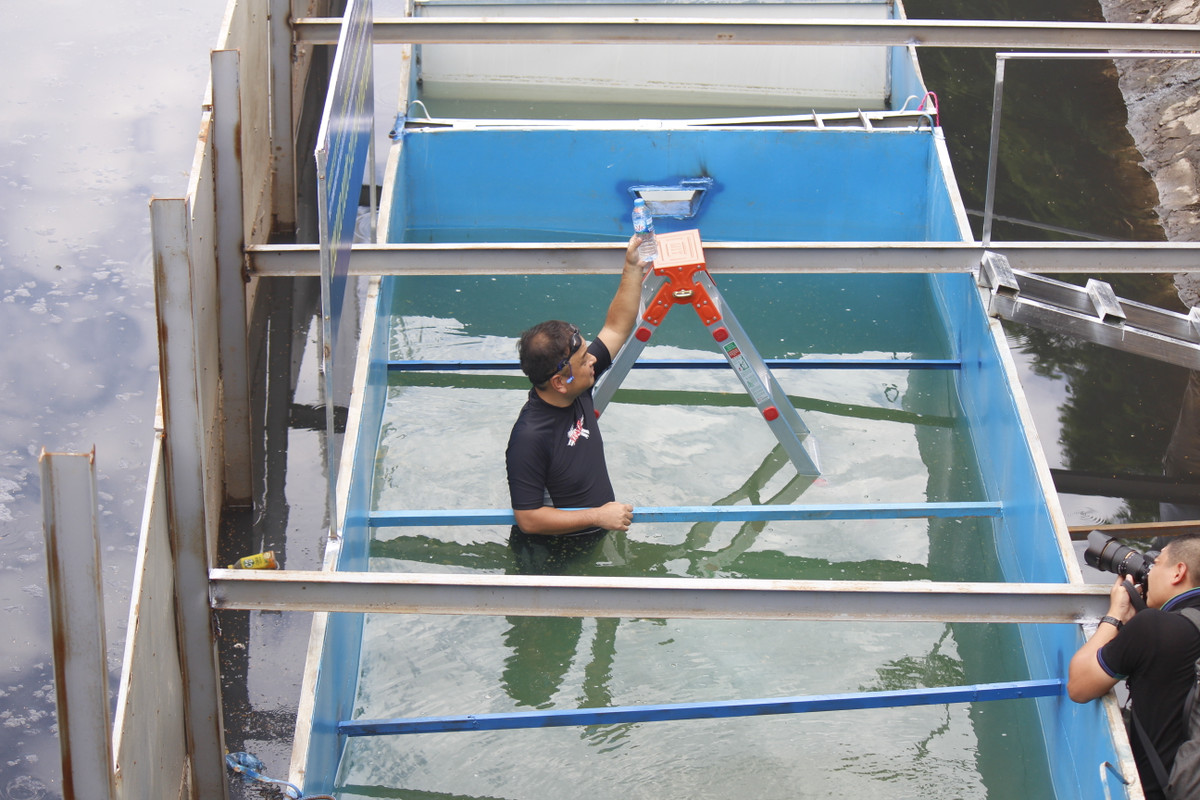 Chuyên gia Nhật Bản ngâm mình dưới nước sông Tô Lịch.