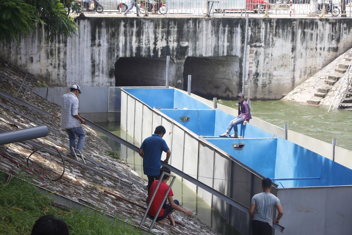 Đại diện Công ty JVE cho biết hệ thống trình diễn xử lý được chia thành 4 bể nhỏ để đặt máy Nano và tấm vật liệu Bioreactor. Bể đầu tiên là xử lý yếm khí, đặt tấm vật liệu kích hoạt vi sinh vật yếm khí. Bể tiếp theo đặt máy Nano nhằm kích hoạt vi sinh vật hiếu khí.