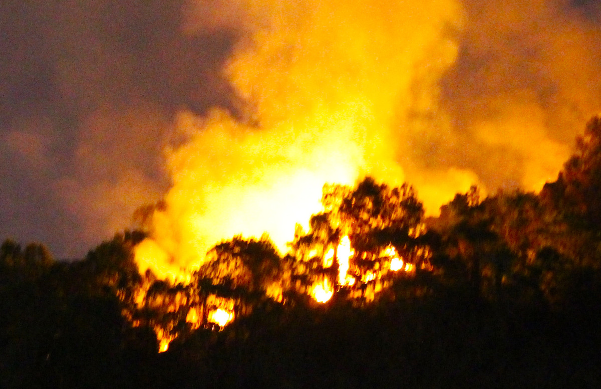 Chay rung o Da Nang giua dem, ca tram nguoi dap lua