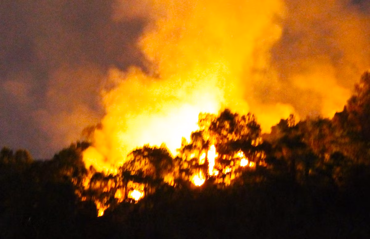Chay rung o Da Nang giua dem, ca tram nguoi dap lua