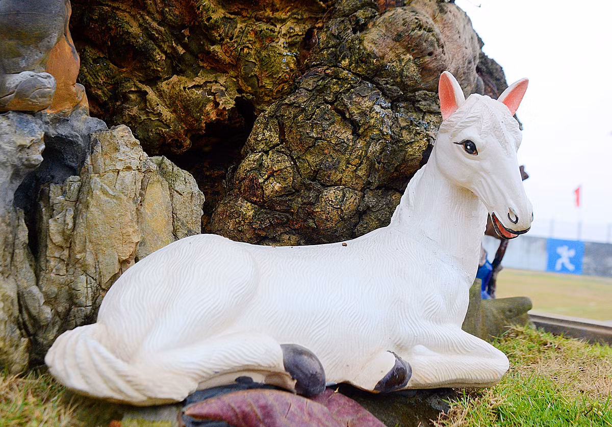 Dưới gốc cây có chú ngựa trắng đang nằm nghỉ, chờ chủ nhân đọc sách trên vách đá phía trên.