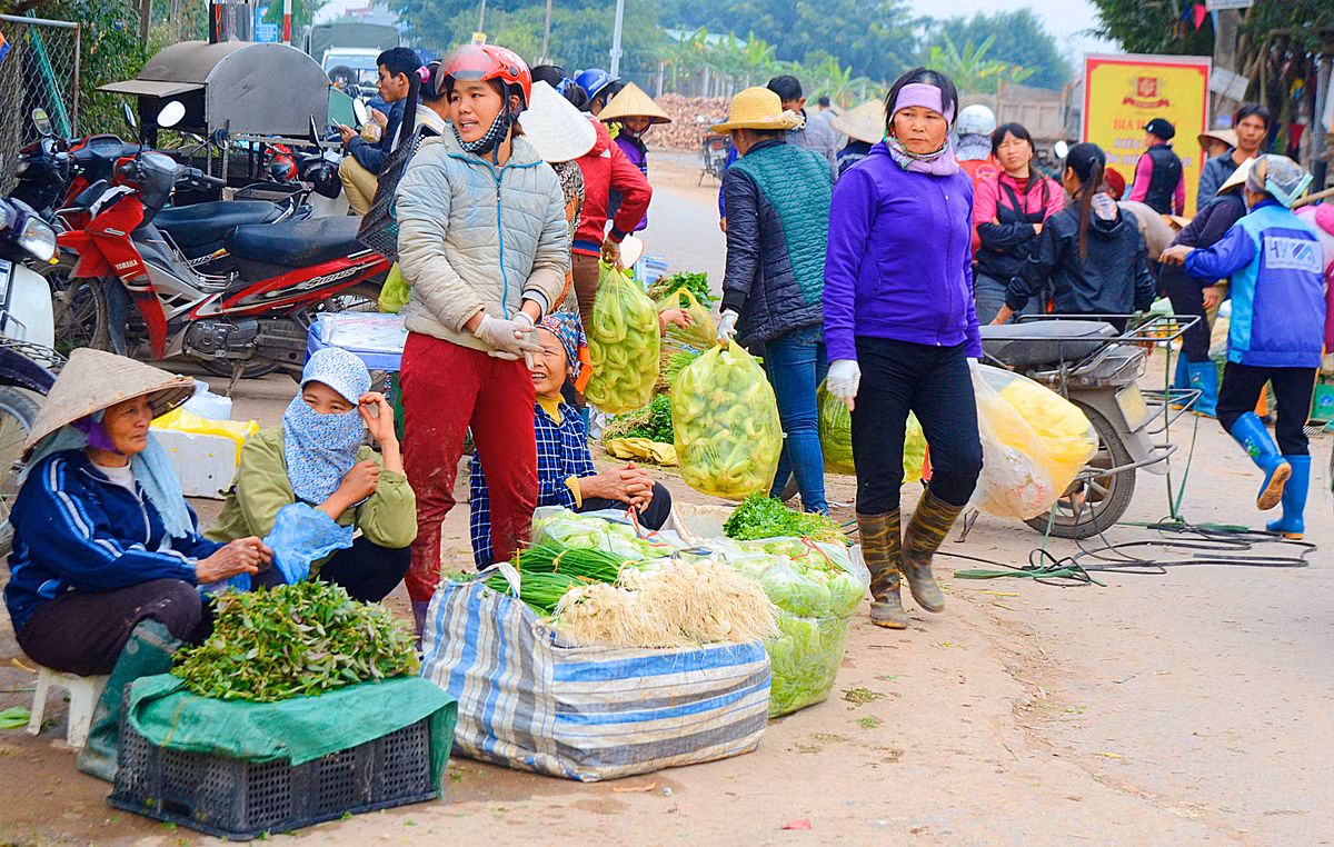 Một số ít được người dân bán trực tiếp tại làng.