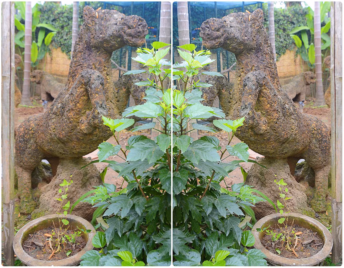 Chú ngựa song phi khiến người ta nhớ đến con ngựa sắt mà Thánh Gióng đã cưỡi bay lên trời.