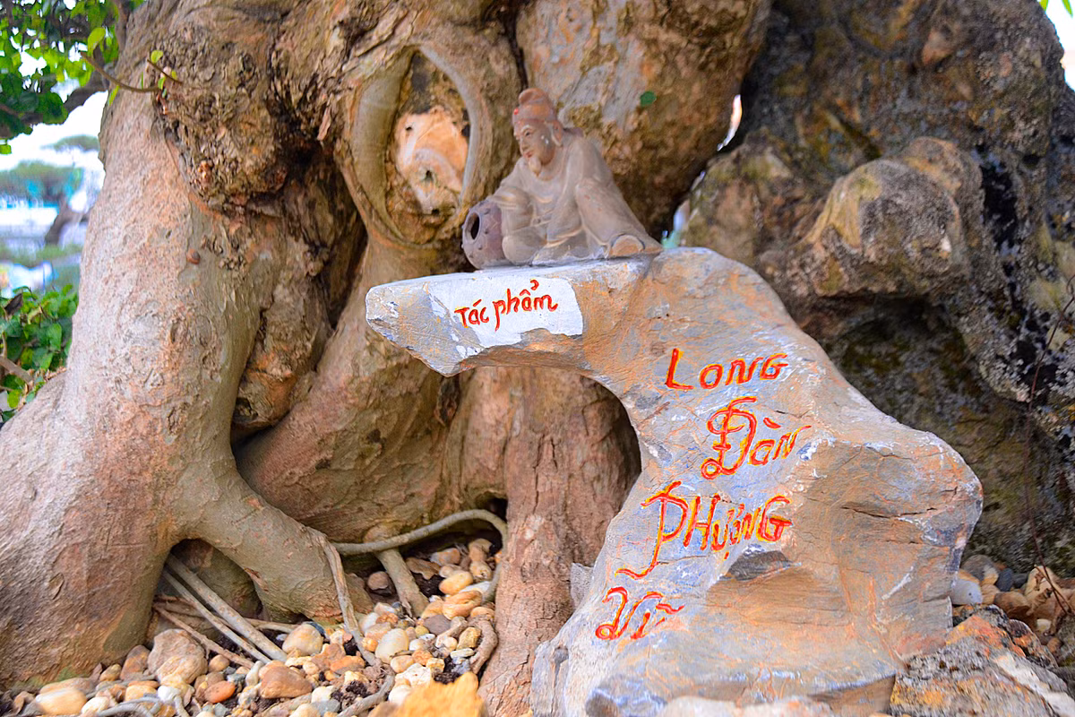 Đây là thế có thể uốn với một cây, hoặc hai cây trồng chung một chậu.