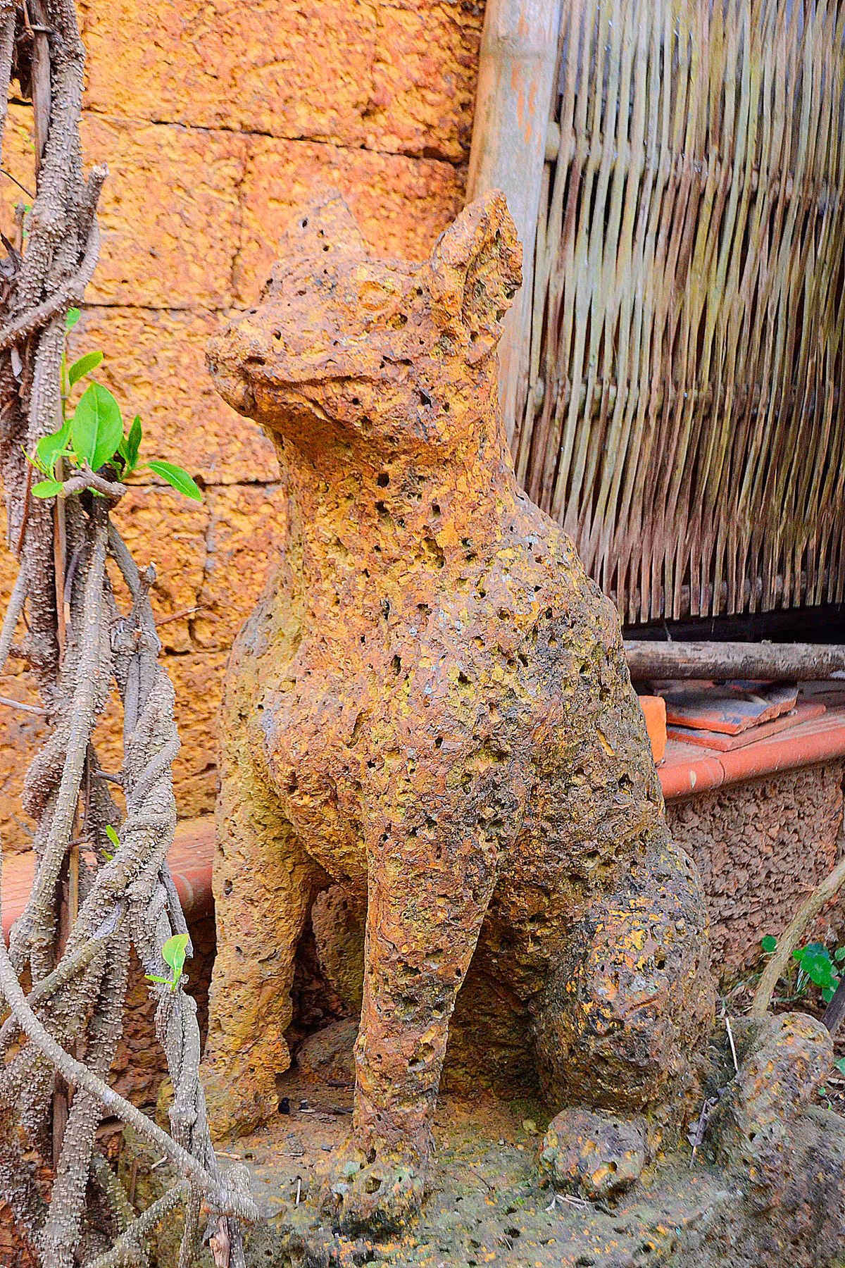 Một chú chó đá ong ngồi canh lối ra vào.