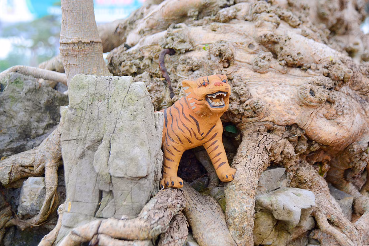 Bên dưới gốc cây ông còn sắp đặt một con hổ...