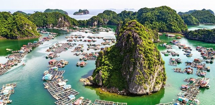 Làng cá trên Vịnh Lan Hạ, Cát Bà, Hải Phòng.