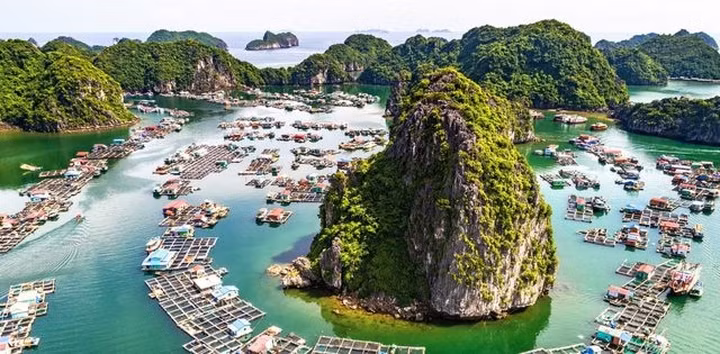 Làng cá trên Vịnh Lan Hạ, Cát Bà, Hải Phòng.