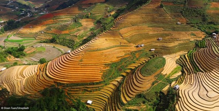 Khung cảnh đẹp như tranh vẽ của những thửa ruộng bậc thang khổng lồ tại Chế Cu Nha, Mù Cang Chải.