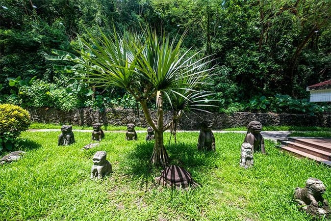 Các nhân viên của viện địa lý Nam Kinh đoán rằng sinh vật khổng lồ không xác định này là một loại thực vật phù du phát triển do núi lửa phun trào và lũ lụt tạo nên. Cá rồng cũng nằm trong phỏng đoán của các nhà khoa học ở Trung Quốc.